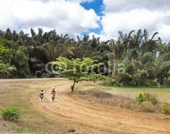 Африканки, идущие на песчаной дороге, Мадагаскар