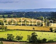 Англия. Панорама полей