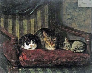 Cat Cubs - Adolf von Becker