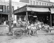 Broad St. lunch carts New York N.Y. c.1906