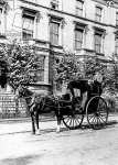 The Royal Albert Hall London c.1880s 2