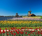 Голландия. Мельницы