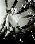 Weissmuller Johnny (Tarzan The Ape Man)