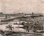 Пейзаж с дубовыми корнями в болоте 