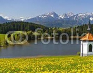 Германия. Панорамам с озером и Альпами