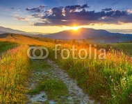 Панорама летнего заката