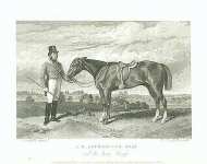 J.H. Lethbridge Esqr. And his horse Trump