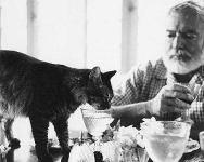 Эрнест Хемингуэй сидит за столом с кошкой Кристобаль