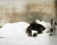 Джесси Тарбокс Билс - Кошка болеет, 1903 год. 