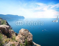 Крым, чайка над морем