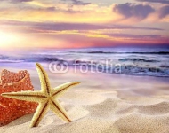 Тропический пляж 2