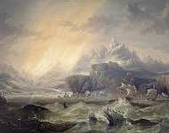 HMS Erebus And Terror In The Antarctic