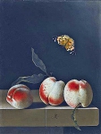 Три персика на каменной столешнице и бабочка Красный Адмирал