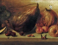 Heussen Claes van - Натюрморт с фруктами и бабочками