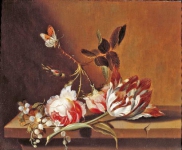 Marrel Jacob - Натюрморт с цветами