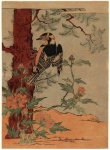 Петушиный бой под цветущим деревомх