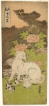Собака и цветущие пионы