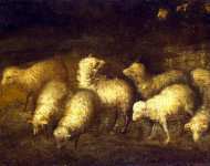 Овцы на водопое