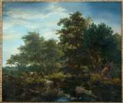 Ruisdael Jacob Isaacksz van - Лес