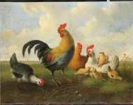 Verhoesen Albertus - Петух с курицамими и цыплятами
