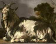 Weenix Jan Baptist - Лежащая коза