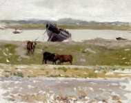Коровы возле старой лодки