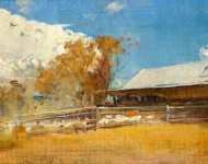 Shearing Shed Newstead