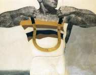 Richard Hamilton - adonis in y fronts