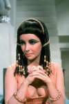 Taylor Elizabeth (Cleopatra) 4