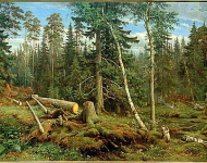 Рубка леса