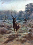 Rosa Bonheur - King of the Forest 