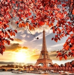 Франция, Париж. Eiffel Tower with autumn leaves