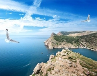 Крым, чайки над морем