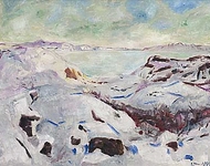 Snow Landscape from Kragero