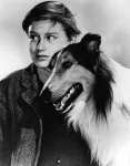 Mcdowall Roddy (Lassie Come Home)
