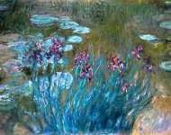 Ирисы и водяные лилии