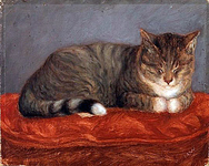 Мария Вийк - Creeping cat, Mosse