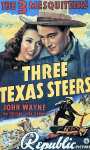 Poster - Three Texas Steers