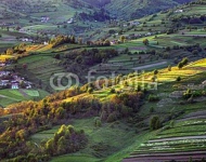 Зеленые поля, Словакия