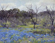 Ранняя весна - голубые цветы и маскитовые деревья