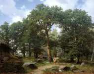 Дубовый лес в окрестностях ревеля