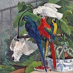 Попугаи в тропической оранжерее