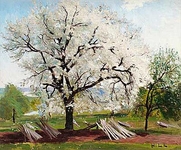 Карл Фредрик Хилл - Цветущие фруктовые деревья