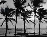 Veranda of the Hotel Royal Palm Miami Florida c.1905