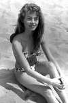 Bardot, Brigitte 15