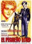 Poster - Little Lord Fauntleroy