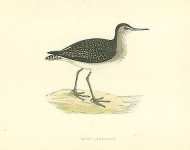 Wood Sandpiper