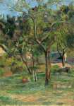 Gauguin Paul - Фруктовый сад в низине церкви Бихорел