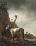 Wouwerman Philips - Белая лошадь на берегу реки до