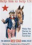 Help the Horse to Save the Soldier